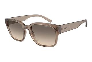 Arnette AN4325 290613 Gradient BrownTransparent Tabacco