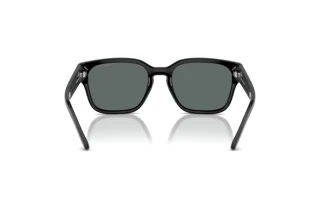 Vue arrière Arnette HAMIE (AN4325 - 291081)