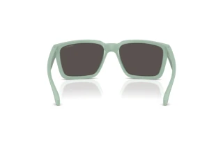 Vue arrière Arnette PLOT TWIST (AN4346 - 296487)