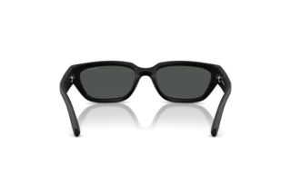 Vue arrière Arnette CURBSIDE (AN4350 - 297687)