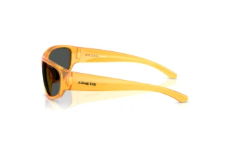 Vue latérale Arnette GONDO (AN4361 - 287587)