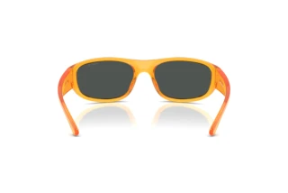 Vue arrière Arnette GONDO (AN4361 - 287587)