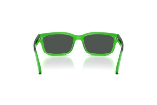 Vue arrière Arnette DEFYER (AN4363 - 301487)