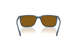 Vue arrière Arnette DINSKY (AN4364 - 299683)