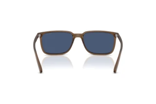 Vue arrière Arnette DINSKY (AN4364 - 299780)