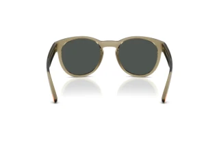 Vue arrière Arnette AN4371 (303187)