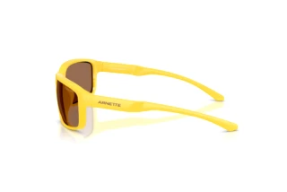 Vue latérale Arnette AN4373 (304273)