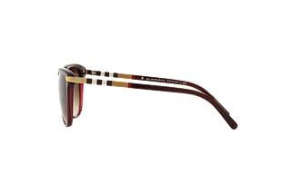 Vue latérale Burberry BE4216 (301413)