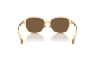 Vue arrière Burberry BE4429D (406373)