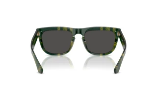 Vue arrière Burberry BE4431U (412587)