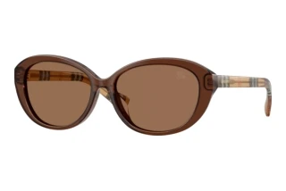 Vue de face Burberry BE4507D (424373)