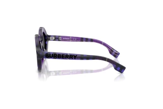 Vue latérale Burberry JB4386 (411387)