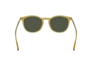 Vue arrière Calvin Klein CK22533S N (729)