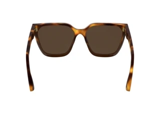 Vue arrière Calvin Klein CK25500S (238)