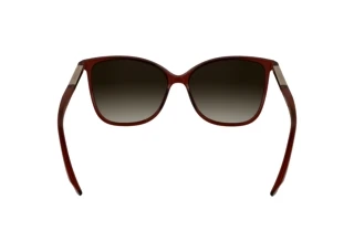 Vue arrière Calvin Klein CK25504S (605)