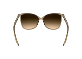Vue arrière Calvin Klein CK25504S (618)