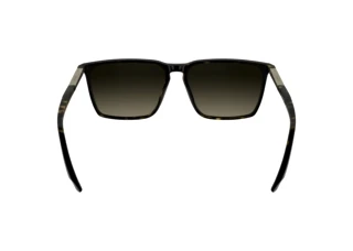 Vue arrière Calvin Klein CK25505S (240)
