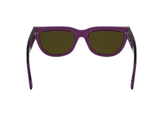 Vue arrière Calvin Klein CKJ25600S (208)