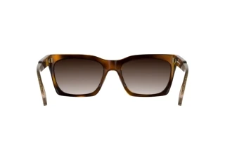 Vue arrière Calvin Klein CKJ26606S (235)