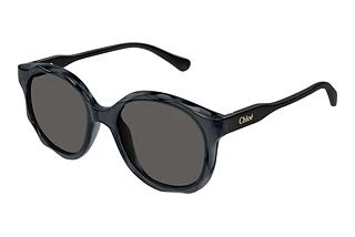 Chloé CC0019S 001 GREY