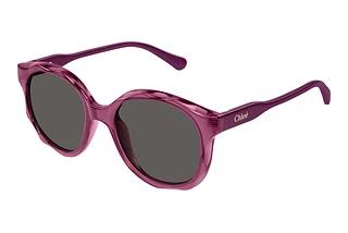 Chloé CC0019S 003