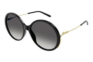 Chloé CH0171S 001