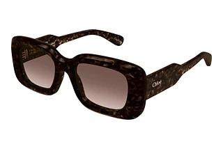 Chloé CH0188S 002 HAVANA