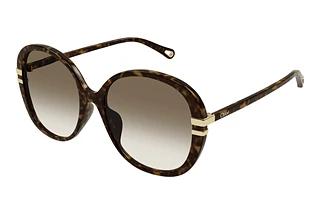 Chloé CH0207SK 002 HAVANA