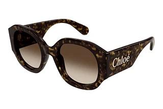 Chloé CH0234SK 002 