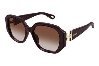 Chloé CH0236S 003 BURGUNDY