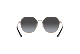 Vue arrière Coach C7998 (HC7132 - 93318G)