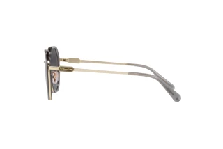 Vue latérale Coach CD477 (HC7141 - 90058G)