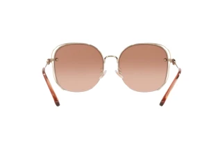 Vue arrière Coach CD453 (HC7145BD - 900513)