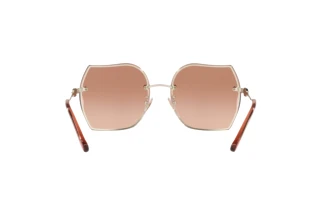 Vue arrière Coach CD454 (HC7146BD - 900513)