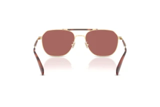 Vue arrière Coach CAE80 (HC7178 - 90050H)