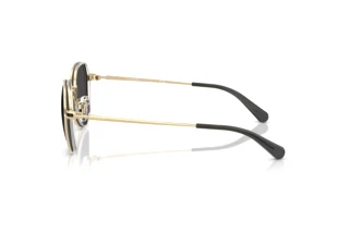 Vue latérale Coach CAE81 (HC7179 - 900587)