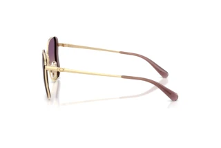 Vue latérale Coach CDP51 (HC7188 - 900570)