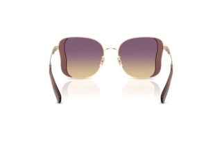 Vue arrière Coach CDP51 (HC7188 - 900570)