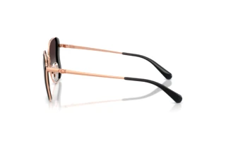 Vue latérale Coach CDP51 (HC7188 - 94078G)