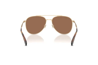 Vue arrière Coach CDP40 (HC7190 - 900513)