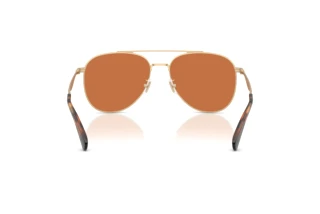 Vue arrière Coach CDP40 (HC7190 - 900573)