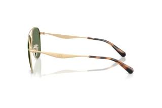 Vue latérale Coach CDP40 (HC7190 - 900582)