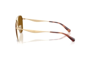 Vue latérale Coach CDP40 (HC7190 - 900583)