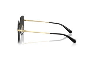 Vue latérale Coach CDP45 (HC7193D - 900587)