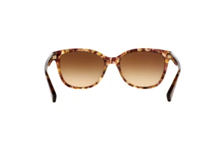 Vue arrière Coach L109 (HC8132 - 528713)