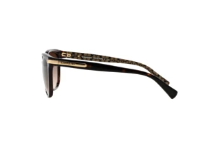 Vue latérale Coach L109 (HC8132 - 529113)