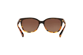 Vue arrière Coach L109 (HC8132 - 5438T5)