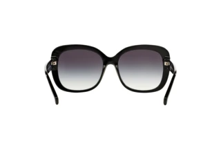 Vue arrière Coach L139 (HC8158 - 500211)