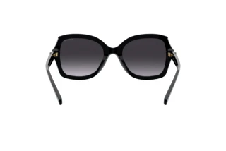 Vue arrière Coach L1147 (HC8295 - 50028G)