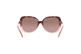 Vue arrière Coach C6180 (HC8320 - 56505M)